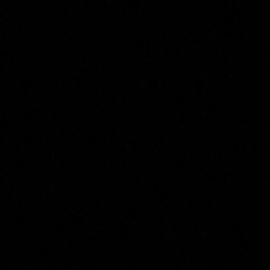 Meet your Posher, Anne